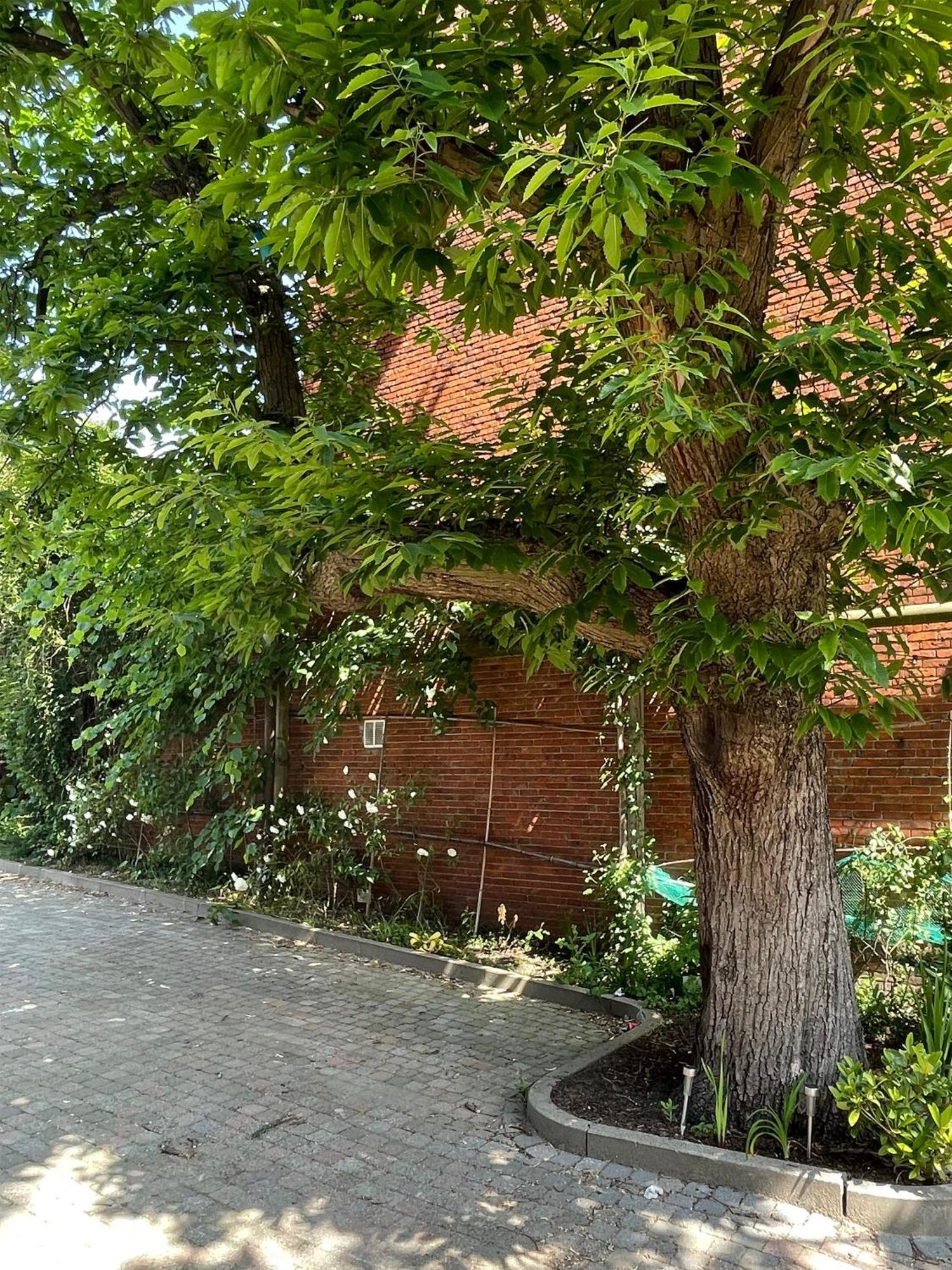 De Wilden Ezel Panzió Mol Kültér fotó